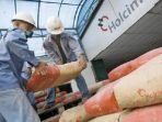 ilustrasi-semen-holcim_20170205_153112
