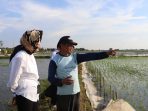 CIREBON JP4