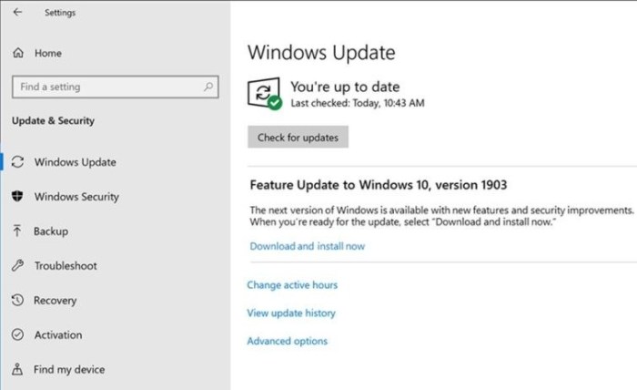 windows-update