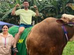 Sapi Raffi