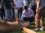 Kaplores Subang AKBP Ariek Indra Sentanu Tampak Sedang Mengusap dan Mendoakan Sapi Yang akan DIkurbankan