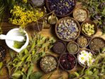 Buat Sampo Tradisional Sendiri dengan 10 Rekomendasi Bahan Alami yang Mudah Didapat Ini