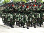 TNI